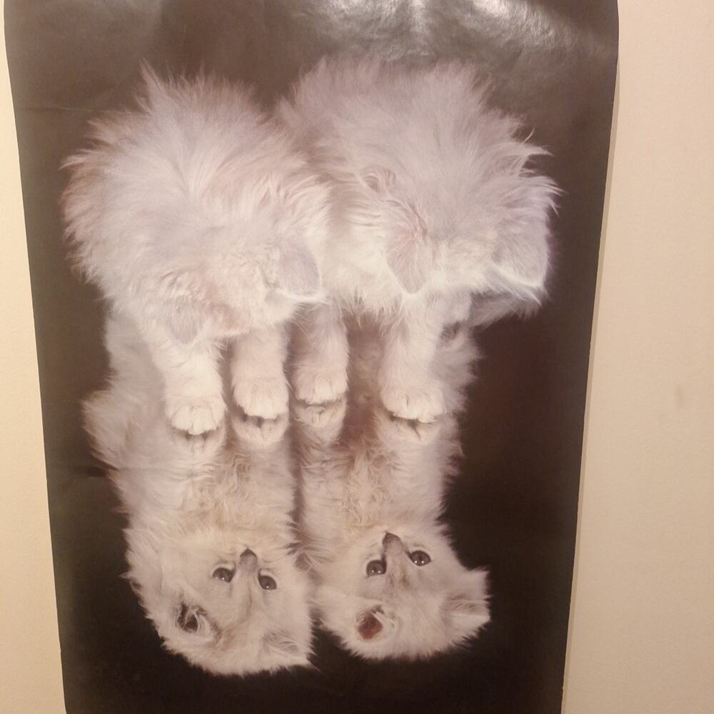 AAG PC0986 "Here's Looking At You" Poster 1990